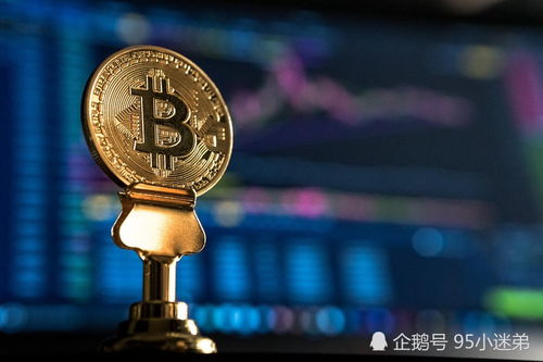 Bitcoin mining operation with multiple ASIC miners working in synchronization